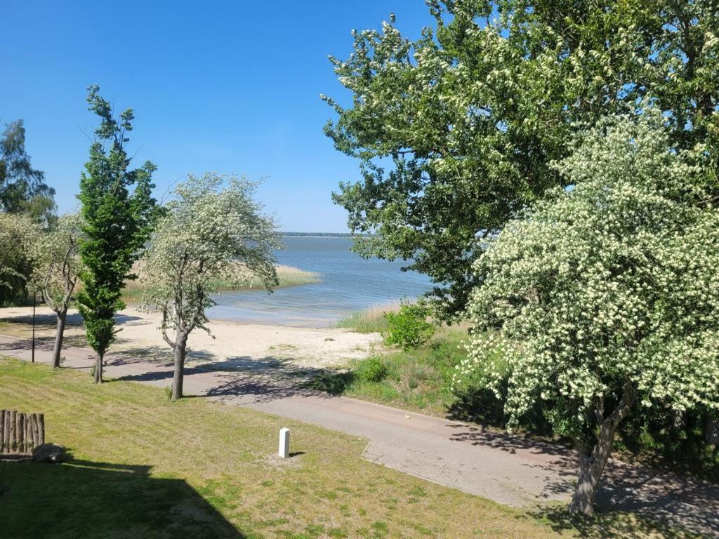 Baltic Lagoon Resort Direkt Am Meer Fuhlendorf  ภายนอก รูปภาพ